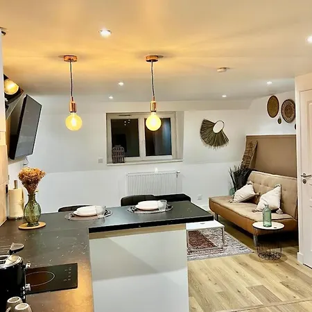 Le Pampas - Duplex 4 Pers - Lille - Appartement *