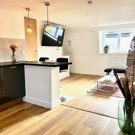 Le Pampas - Duplex 4 Pers - Lille - Apartment